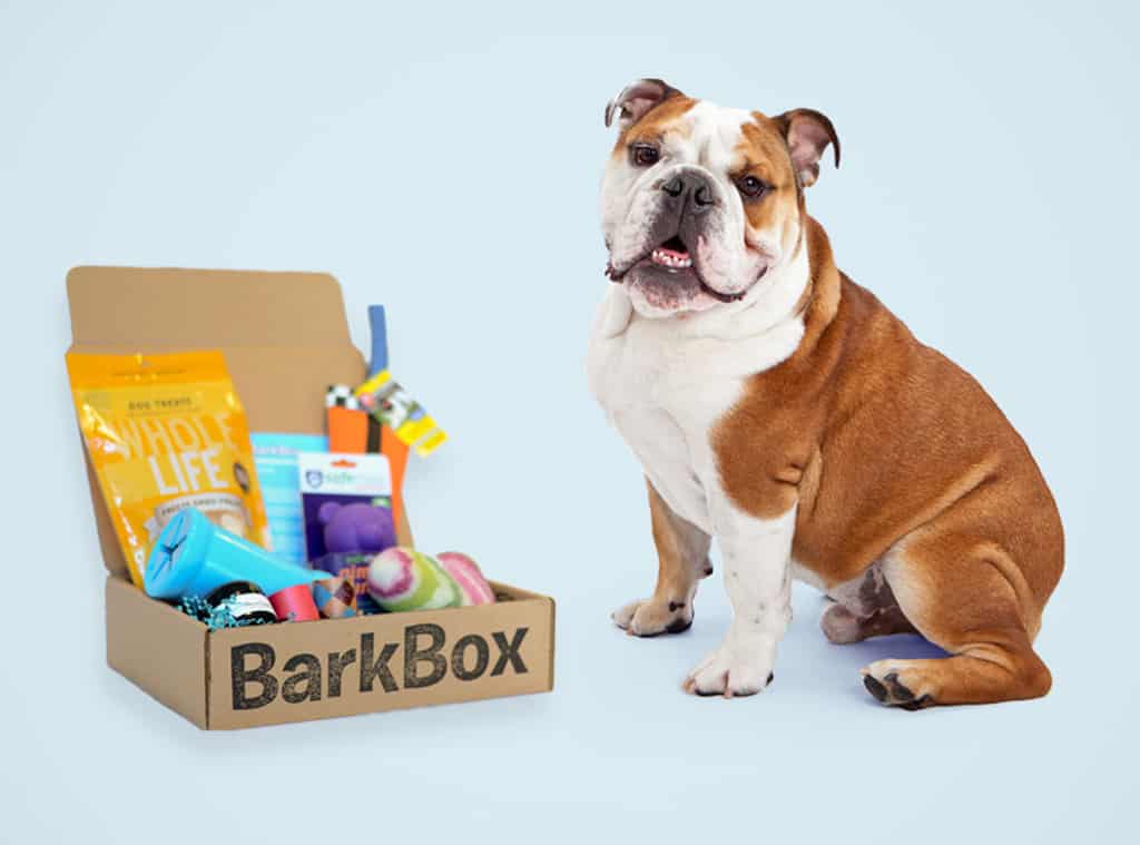 barkbox2